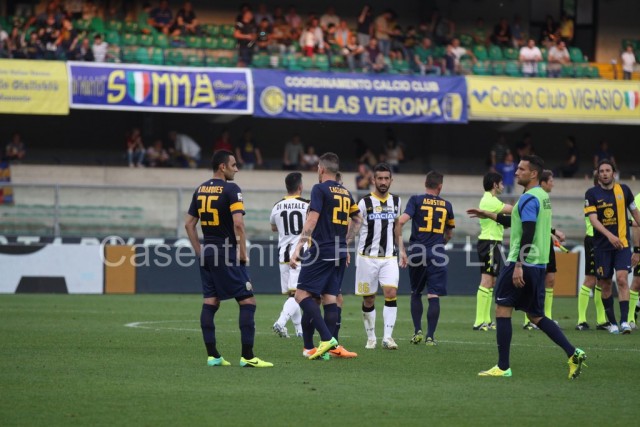 Hellas_Verona_-_Udinese_1459.JPG