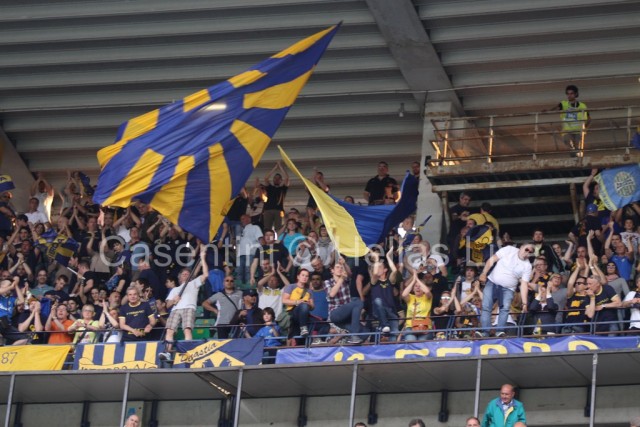 Hellas_Verona_-_Udinese_1536.JPG