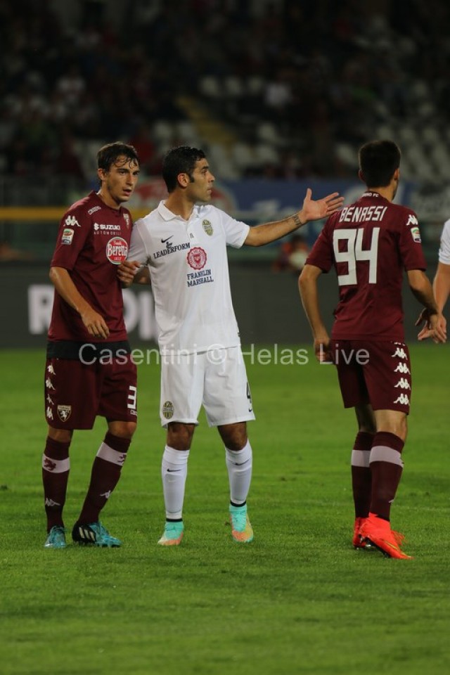 Torino_FC_-_Hellas_Verona_0409.JPG