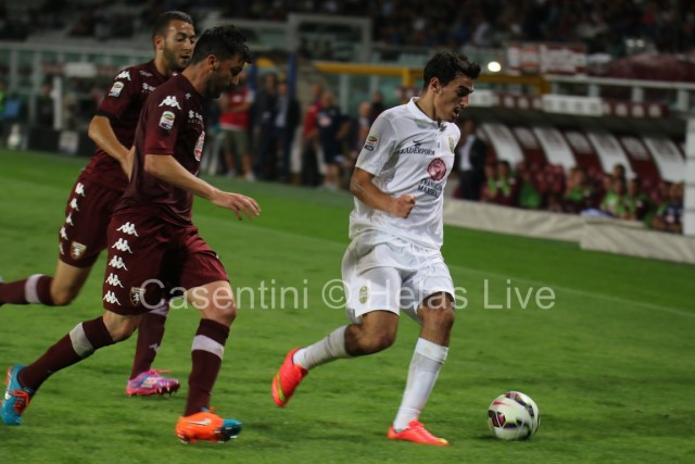 Torino_FC_-_Hellas_Verona_0511.JPG