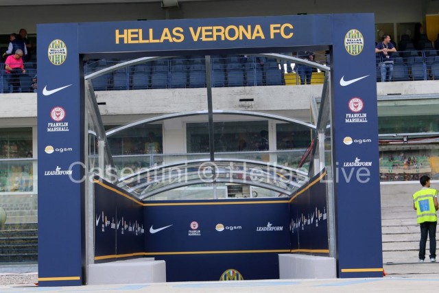Hellas_Verona_-_AC_Milan_0147_.JPG