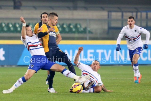 Hellas_Verona_-_US_Sampdoria_0169_.JPG