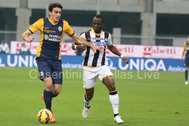 Udinese_-_Hellas_Verona_0206.JPG