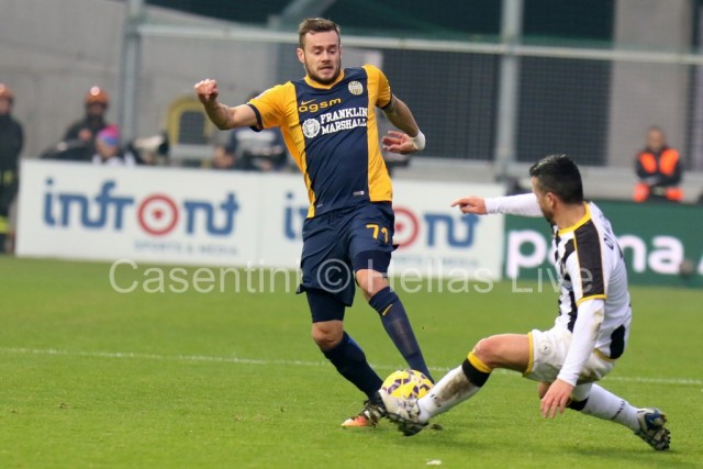 Udinese_-_Hellas_Verona_0594.JPG