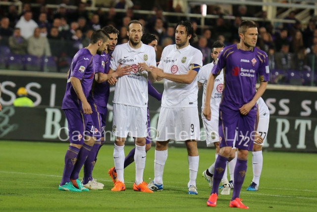 Fiorentina_-_Hellas_Verona_0392_-_Copia.JPG