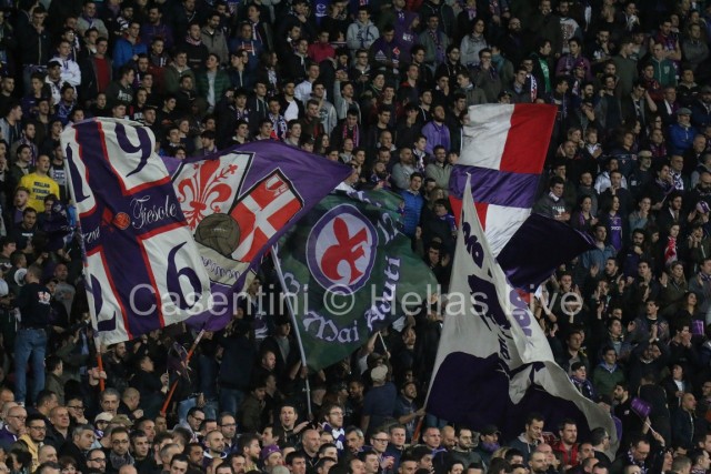 Fiorentina_-_Hellas_Verona_0416_-_Copia.JPG