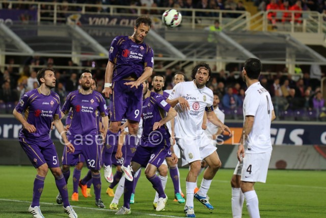 Fiorentina_-_Hellas_Verona_0795_-_Copia.JPG