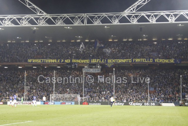 Sampdoria_-_Hellas_Verona_2281.JPG