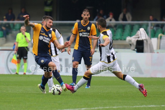 Hellas_Verona_-_Udinese_2906.JPG