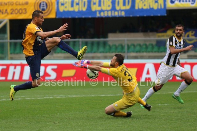 Hellas_Verona_-_Udinese_2879.JPG