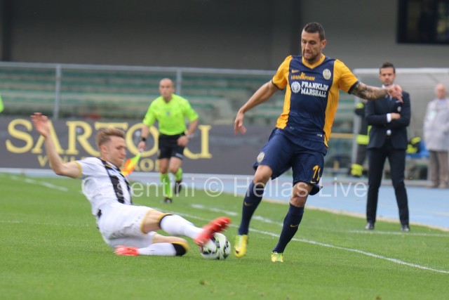 Hellas_Verona_-_Udinese_0395.JPG