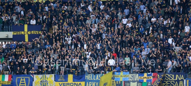 Hellas_Verona_-_Udinese_0527.JPG