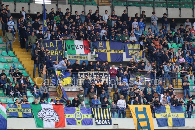 Hellas_Verona_-_Udinese_0845.JPG