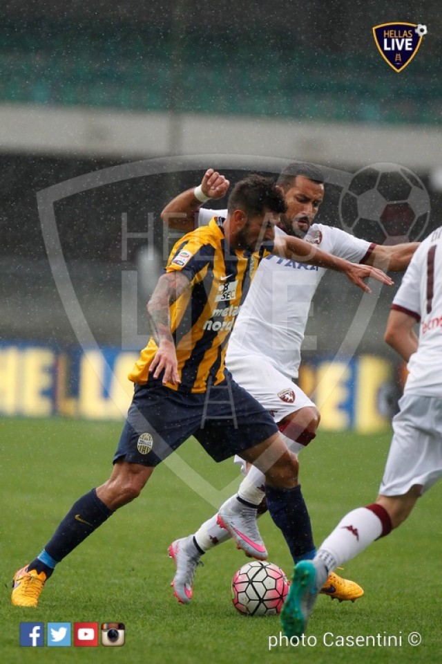 Hellas_Verona_-_Torino_FC_(1501).JPG