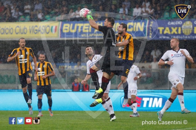 Hellas_Verona_-_Torino_FC_(2326).JPG