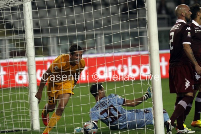 Torino_FC_-_Hellas_Verona_0600.JPG