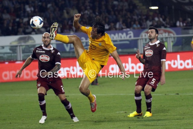 Torino_FC_-_Hellas_Verona_0590.JPG